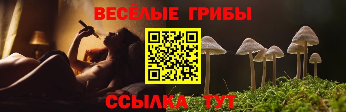 Петрозаводск  Псилоцибиновые грибы мухоморы  Вход с VPN 