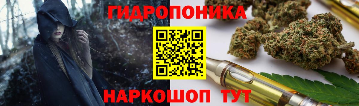 Петрозаводск  Бошки марихуана White Widow  Вход с VPN  Конопля сатива  Конопля гибрид 